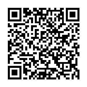 一脸阴沉的老巫婆提着已经昏迷不醒的光头蝮蛇走了出来二维码生成