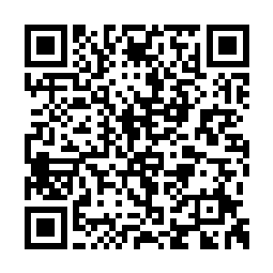 一脸难以置信的盯着已经失去了双臂的几名护卫二维码生成