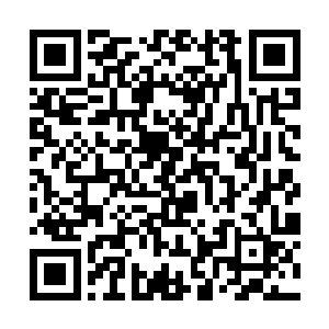 一脸黑线的看着和大白并肩坐在那里吃薯片的小不点二维码生成