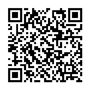 一腿从天而降带起一股破空之声狠狠的踢像冷无情二维码生成