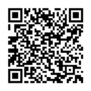 一致怀疑他是不是跟精品学姐在宾馆里干了什么二维码生成