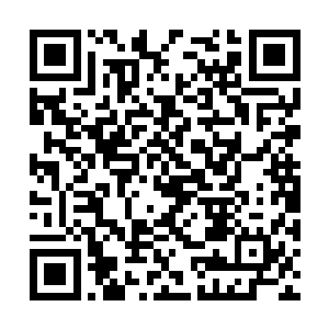 一般一头一星的上古巨兽可以独战上万名人类高手二维码生成