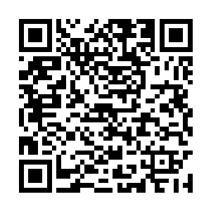 一般人不会知道四海盟的高层为什么那么敬重钱岳二维码生成