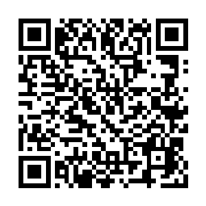 一般人只是知道幽冥森林内有一个禁地非常危险二维码生成