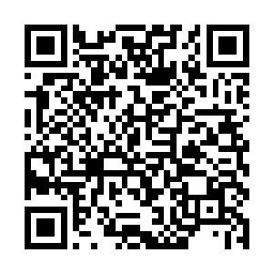 一般人就算是杀死皇族僵尸也得不到皇族僵尸的鲜血二维码生成