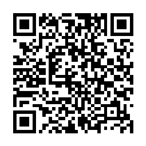 一般人春天的时候看到天上的鸟儿叽叽喳喳的叫着二维码生成