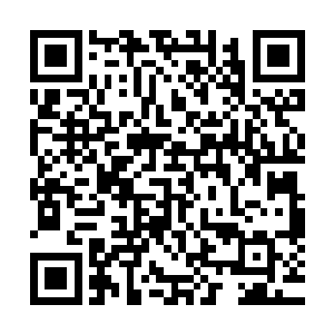 一般会根据其内部世界构造的大小和各种各样不同的复杂功用二维码生成