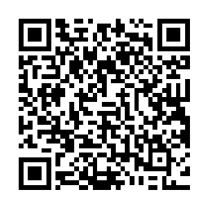 一般只有在正道楼或者各地廷尉机构的档案库内才能完整的看到二维码生成