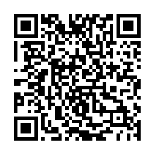 一般国主的龙袍就是各种颜色的服装上雕刻真龙纹理二维码生成