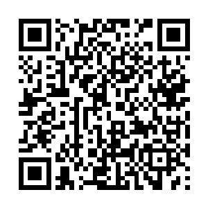 一般很少有人会自己一个人进入死亡分界线的那头二维码生成