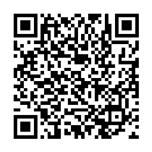 一般情况下本该立即上前捉住定王妃做人质以求脱身二维码生成