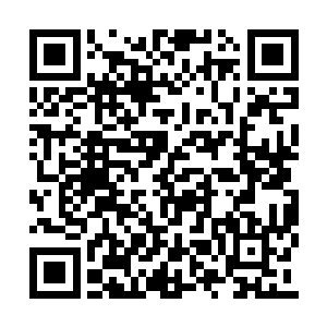 一般扎戈见到人类立刻将苍蝇一样无脑盯了过来二维码生成