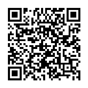 一般是很难被人强制松懈的……哪怕是受到折磨的时候二维码生成