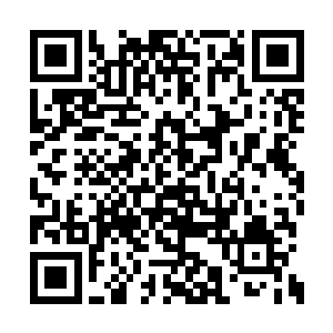 一般智慧种族得到巫运之果都会受不了它的诱惑二维码生成