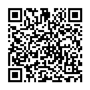 一般来参加铭文术考核的武者都会选择比较次的宝器二维码生成
