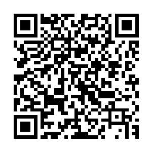 一般来说……那些白种人就算在心里面再怎么瞧不起起其他的黑二维码生成