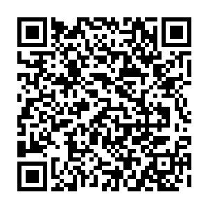 一般来说族长若是有意外部落的祭祀或者做为族长预备人选的人应该拿主意二维码生成