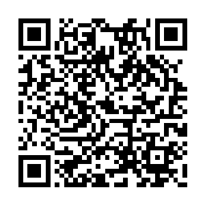 一般的七级阵法根本就不足以抵抗龙傲天的攻击二维码生成