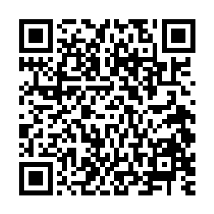 一般的修真者根本就无法在施家主城里面施加如此强大的力量二维码生成