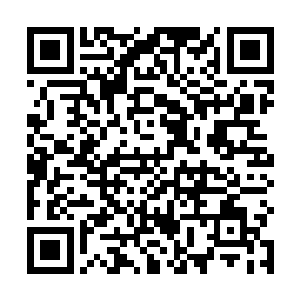 一般的元尊巅峰混沌凶兽连皮带骨能在片刻之间化成渣二维码生成