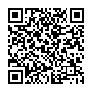 一般的天龙宗的普通弟子都只能够在万重峰之外的那些山头二维码生成