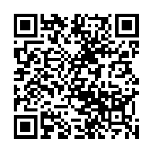 一般的杀手都会强化训练自己在计算机编程上的一些技艺二维码生成