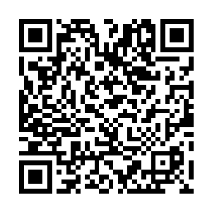 一般的武帝还不至于为了一个圣品灵脉就不顾身份去出手二维码生成