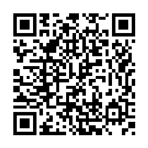 一般的闺阁小姐见到如此惨状肯定吓得魂都没了二维码生成