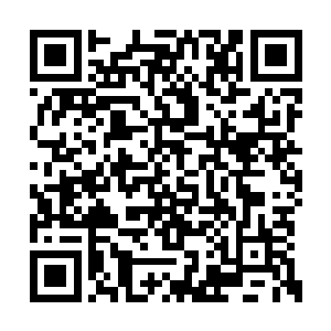 一般的龙傲天的戒指中的东西可都是价值连城的二维码生成