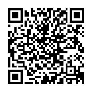 一般能够被家族推出来做些事情的年轻一辈也都不会差到哪里去二维码生成