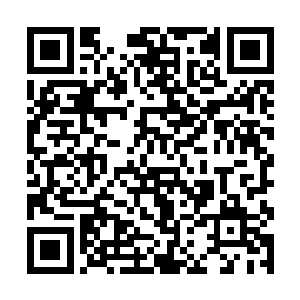 一般说来是由各地市分管招商引资工作的市领导参加二维码生成