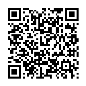 一般说来涉案人家属对于这一类案件现在都只有等待二维码生成