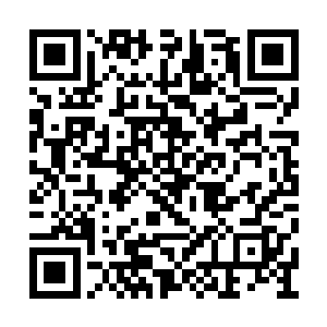 一般走剑道的人绝不会像她这样只知道蛮力冲撞二维码生成