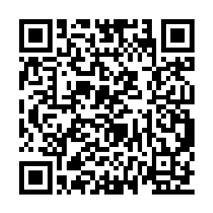 一般这个时候老先生还会在这里看会儿报纸杂志二维码生成