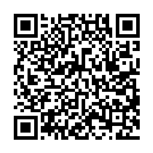 一般都会在里面的莲子发芽之后就会自动化成莲子的养分二维码生成