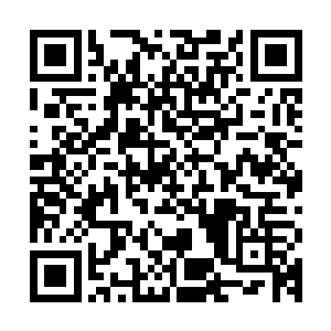 一般都会有一些强横的存在守护着……想要得到这些珍贵的材料二维码生成