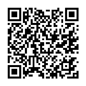 一蓬绣着迎春花的裙角慢慢的自蔷薇花后走了出来二维码生成