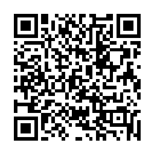 一行七个人身形一闪直接就出现在了天龙宗的上空二维码生成