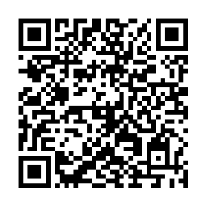 一行人先去看了上次齐浩然穆扬灵发现的那个美丽岛屿二维码生成
