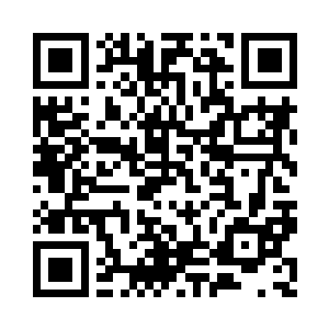 一行人很快又回到最初到达的那个小树林二维码生成