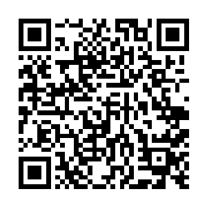 一行人浩浩荡荡的跟着那几个女婢来到前院的一块空地上二维码生成