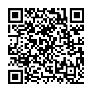 一行六个人也直接浩浩荡荡的南域凶兽的大本营的方向飞掠而去二维码生成