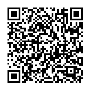 一行穿着深蓝色制服的青年学生们正训练有素的快步向甬路的尽头走去二维码生成