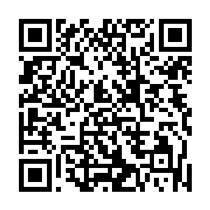 一行黑衣人很快就循着蝴蝶找到了他们留在树林里的马匹二维码生成