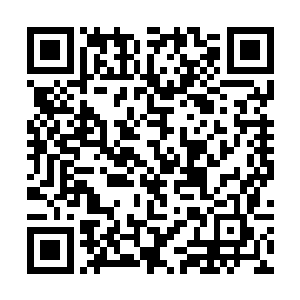 一袭黑衣的叶莲娜此时正寒着张脸在听一位眼窝深陷二维码生成