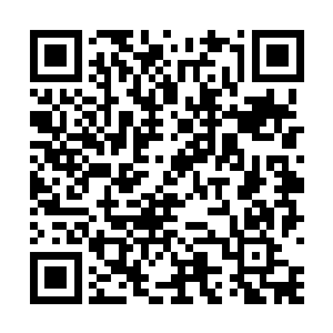 一袭Burberry长款风衣的女郎出现在希尔顿酒店门口二维码生成