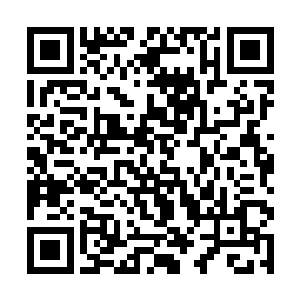 一言不发的只顾埋头向着那矮山方向的混沌神殿走着二维码生成