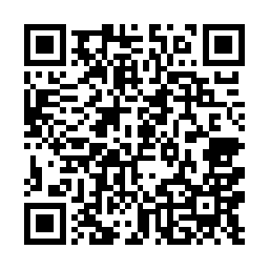 一言难尽啊……我起初……起初只是躲避天庭的追捕二维码生成