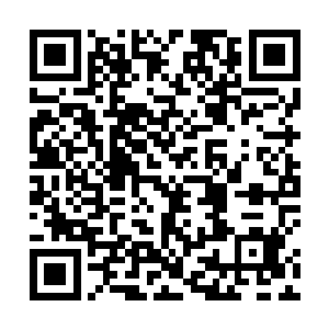 一记精准无比的冰冻射线狠狠地刺穿了他分叉的蛇信子二维码生成