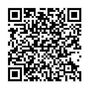 一贯嚣张狂妄的敏罕穆德尔此时竟像一个犯了错的学生一样二维码生成